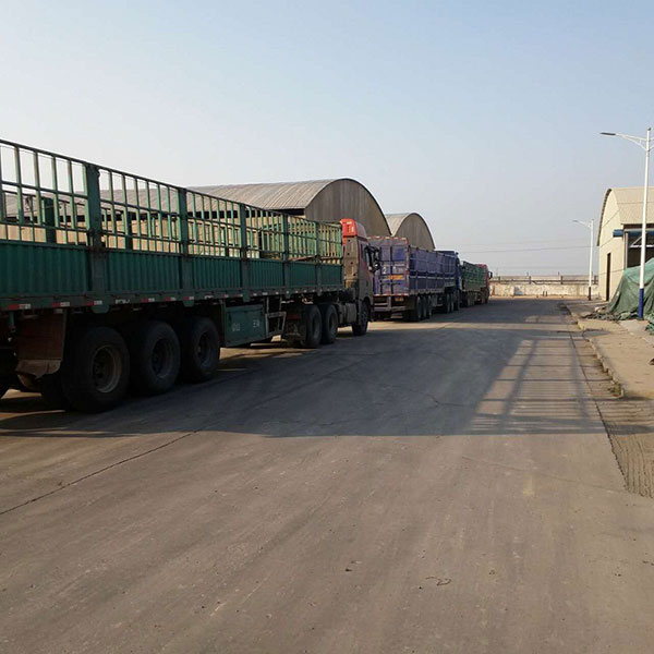 山东饲料添加剂}